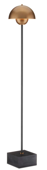 Currey and Company 8000-0095 One Light Floor Lamp, Brushed Brass/Black