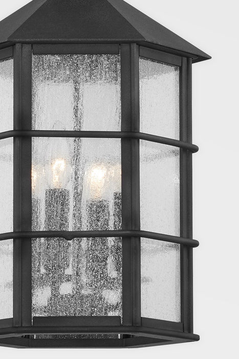 Troy Lighting F2526-FRN Four Light Outdoor Lantern, French Iron