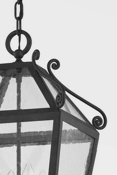 Troy Lighting F4128-FRN Four Light Outdoor Lantern, French Iron