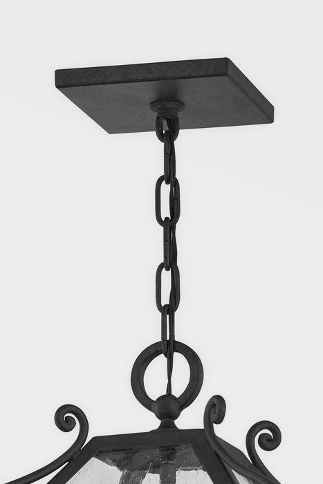 Troy Lighting F4128-FRN Four Light Outdoor Lantern, French Iron