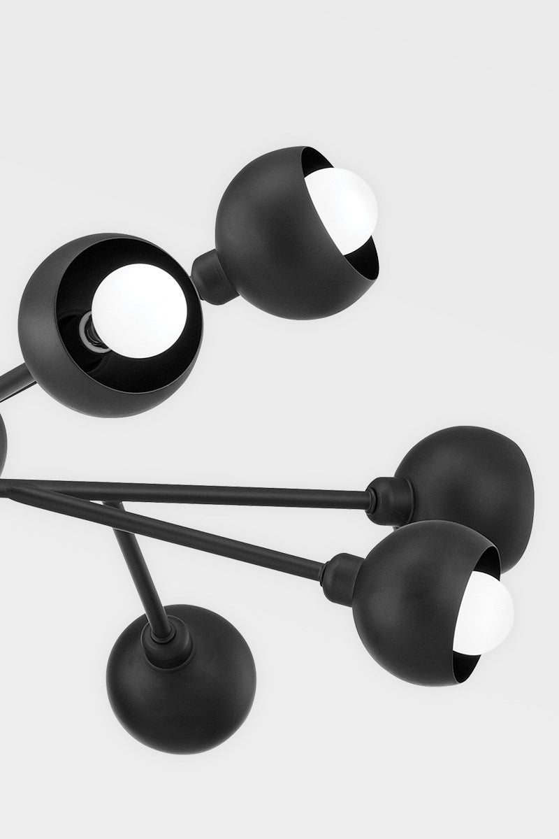 Troy Lighting F7412-SBK 12 Light Chandelier, Soft Black