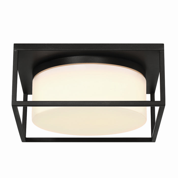 Eurofase 41965-016 Two Light Outdoor Flushmount, Black