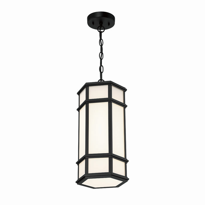 Eurofase 42691-013 LED Outdoor Pendant, Satin Black