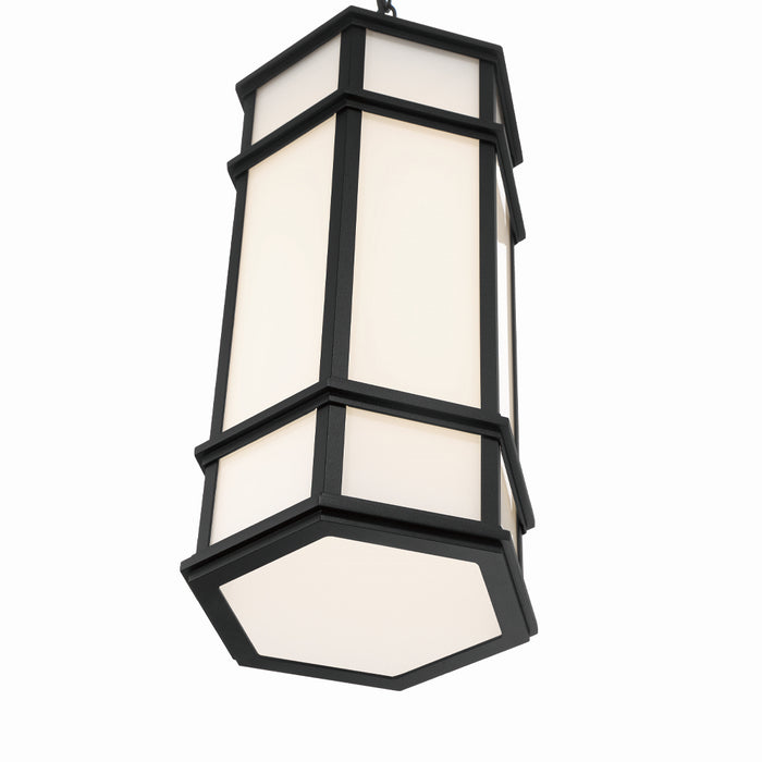 Eurofase 42691-013 LED Outdoor Pendant, Satin Black