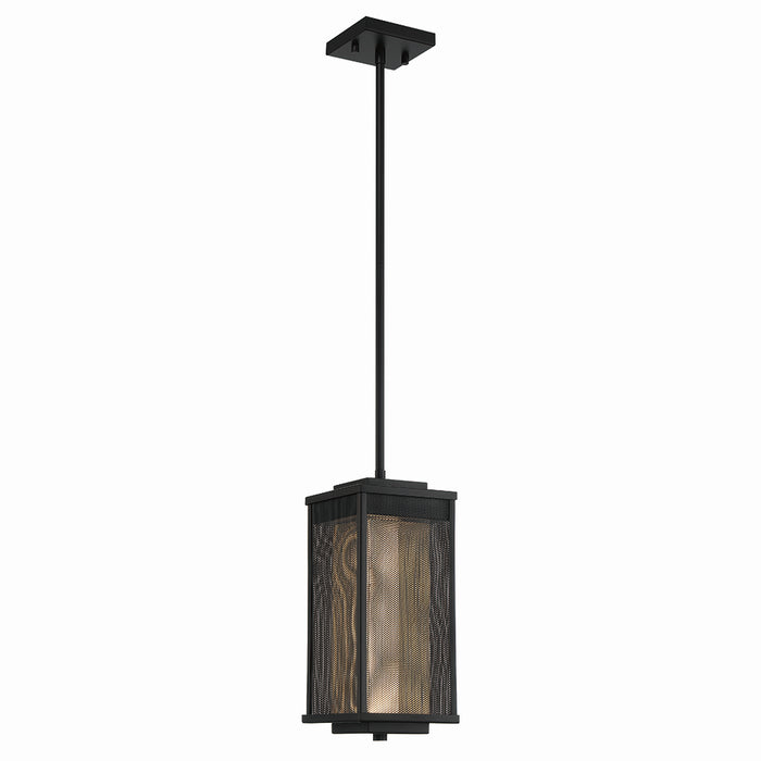 Eurofase 42718-017 LED Outdoor Pendant, Black/Gold