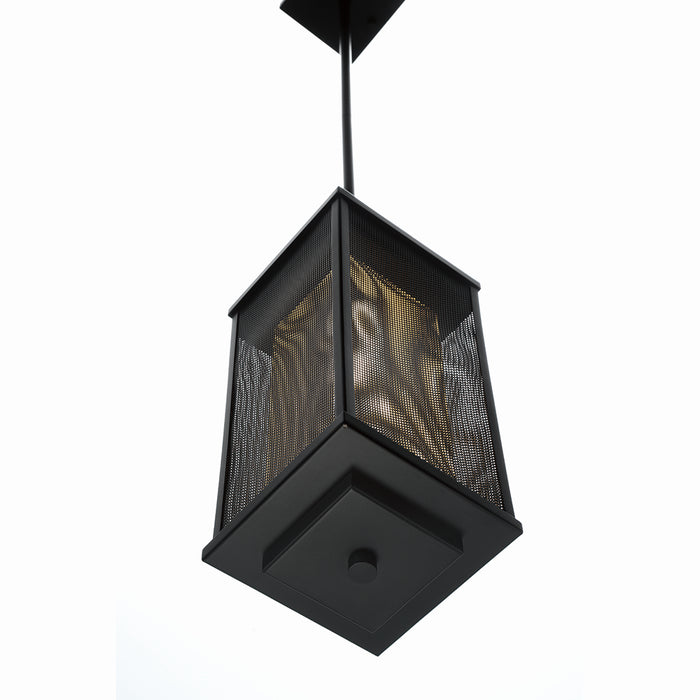 Eurofase 42718-017 LED Outdoor Pendant, Black/Gold