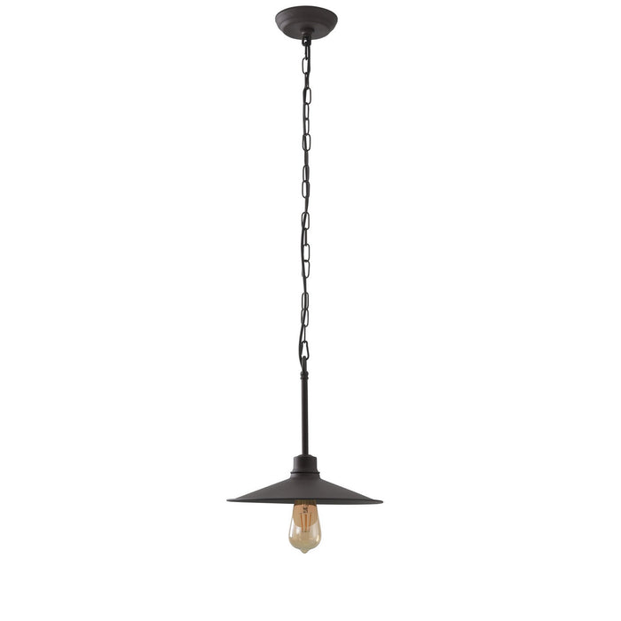 Varaluz 356M01DC One Light Pendant, Dark Coffee