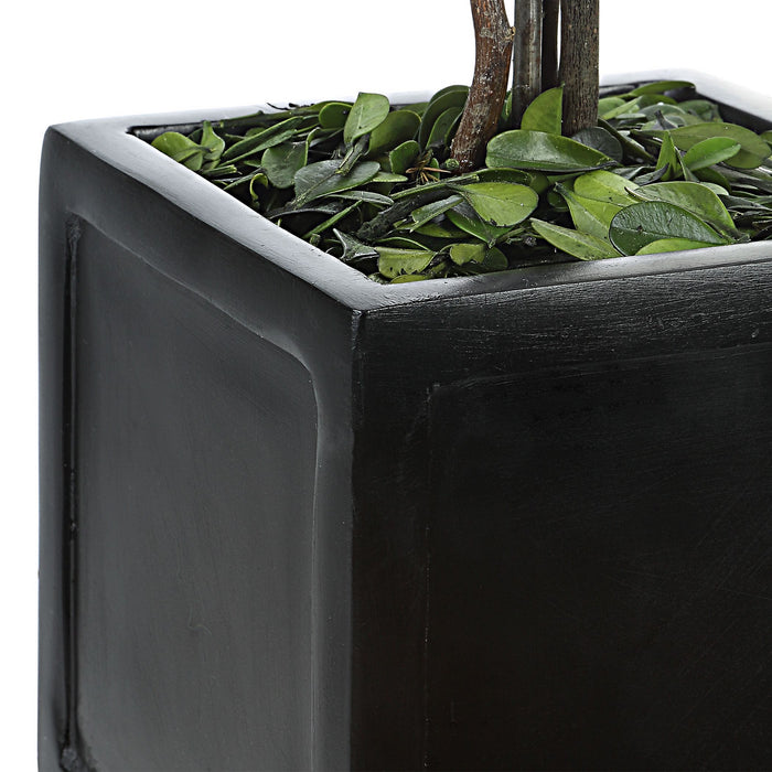 Uttermost 60187 Topiaries, S/2, Satin Black