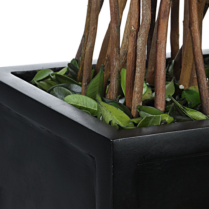 Uttermost 60188 Topiary, Satin Black