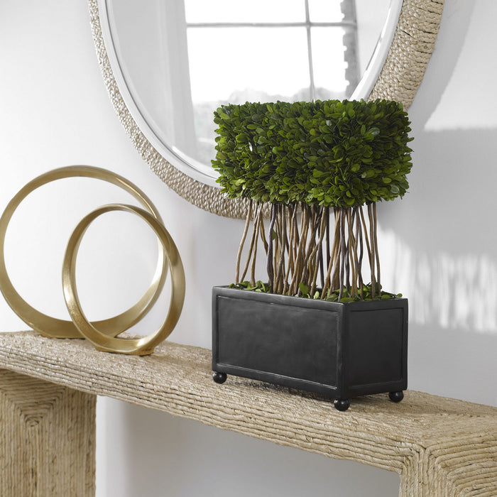Uttermost 60188 Topiary, Satin Black