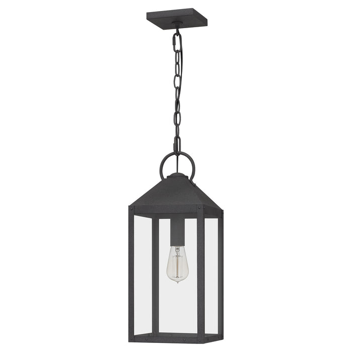 Quoizel TPE1508MB One Light Mini Pendant, Mottled Black