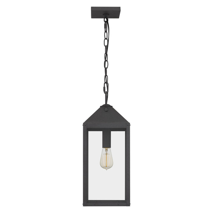 Quoizel TPE1508MB One Light Mini Pendant, Mottled Black