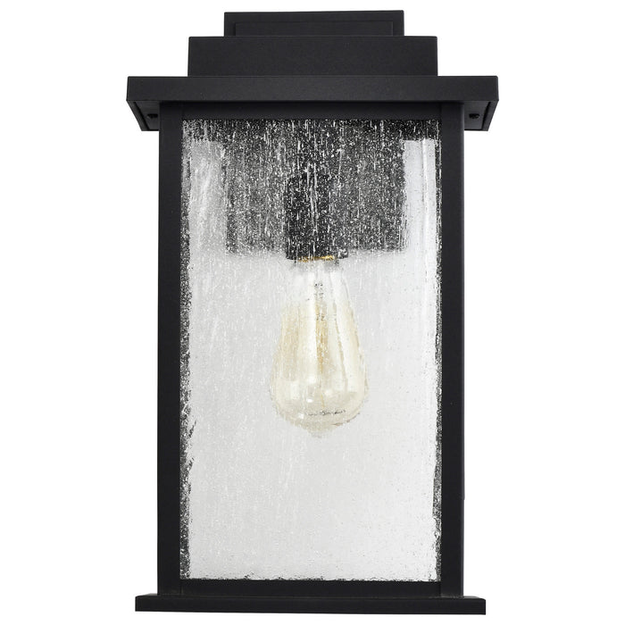 Nuvo Lighting 60-7376 One Light Wall Lantern, Matte Black
