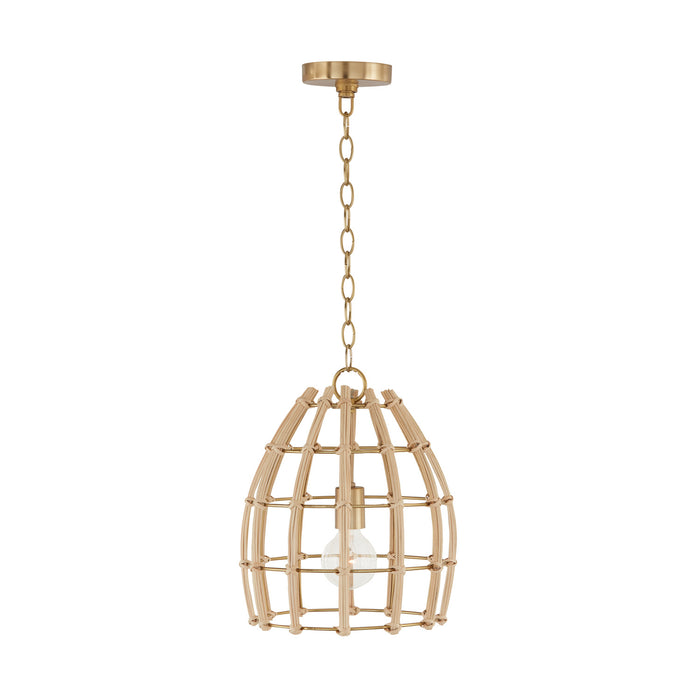 Capital Lighting 344111MA One Light Pendant, Matte Brass