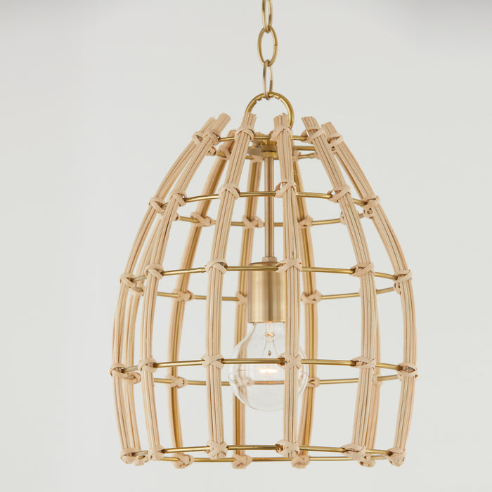 Capital Lighting 344111MA One Light Pendant, Matte Brass