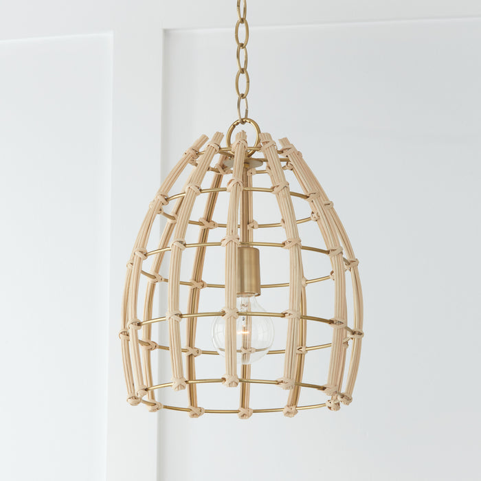 Capital Lighting 344111MA One Light Pendant, Matte Brass