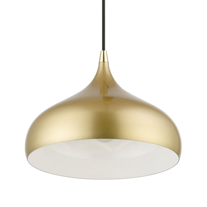 Livex Lighting 41172-33 One Light Pendant, Soft Gold w/ Polished Brasss