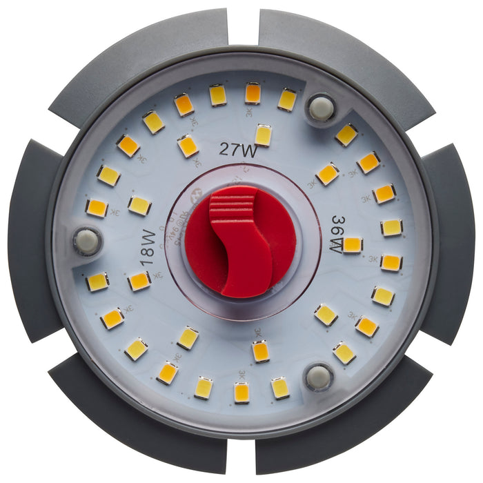 Satco S23152 Light Bulb, White
