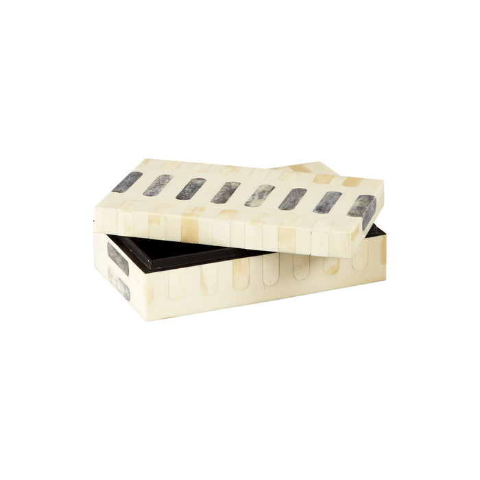 Cyan 11148 Container, Grey And Ivory