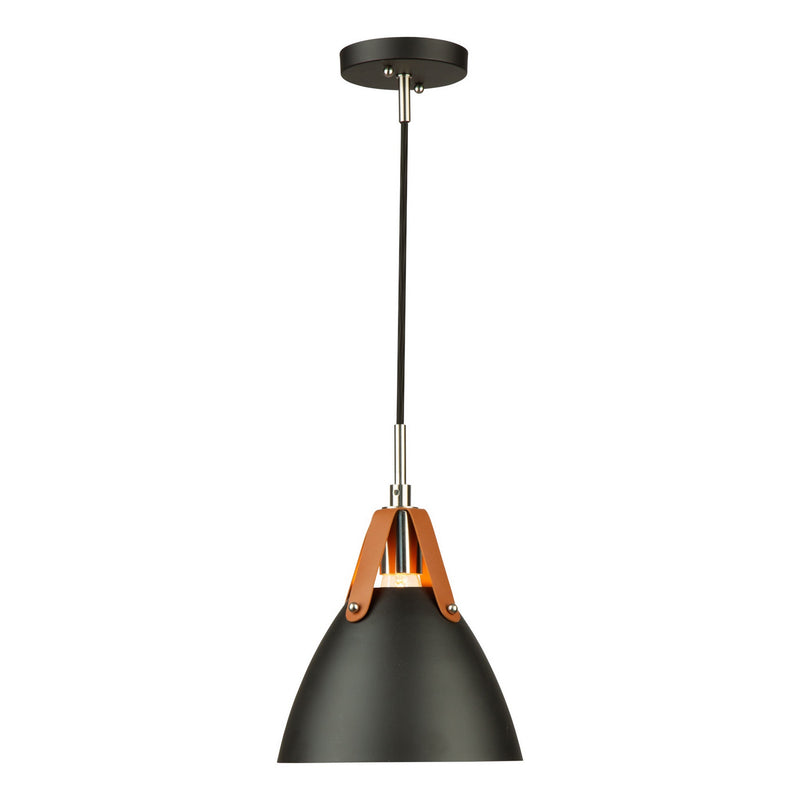 Artcraft SC13321BK One Light Pendant, Black