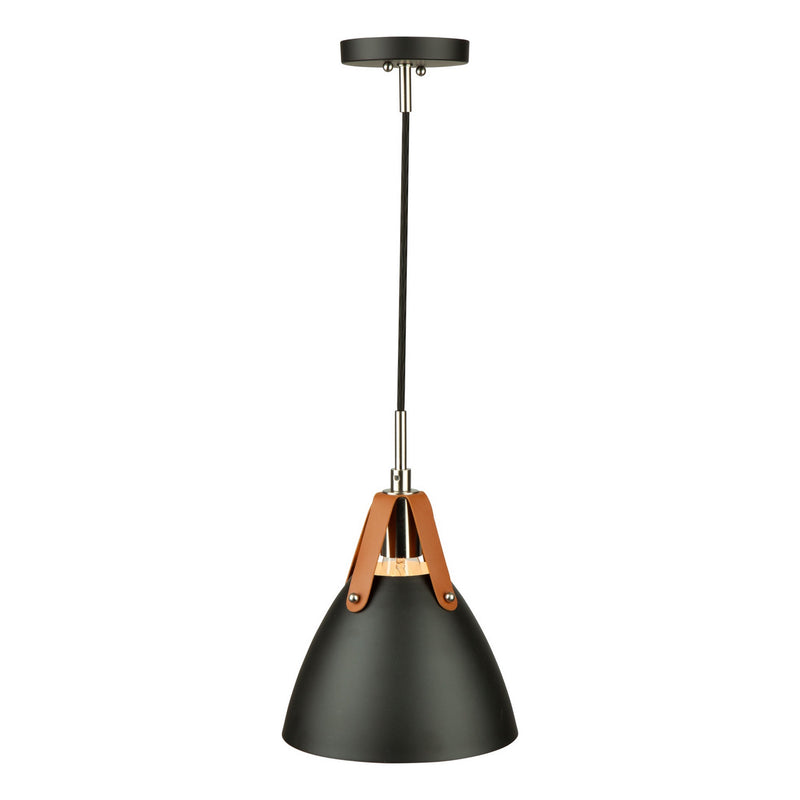 Artcraft SC13321BK One Light Pendant, Black