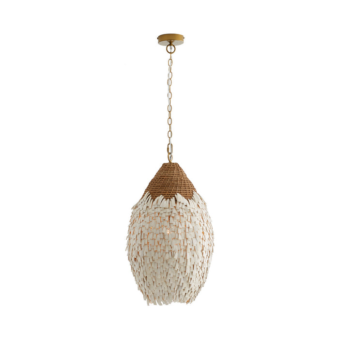 Arteriors 45205 One Light Pendant, Natural
