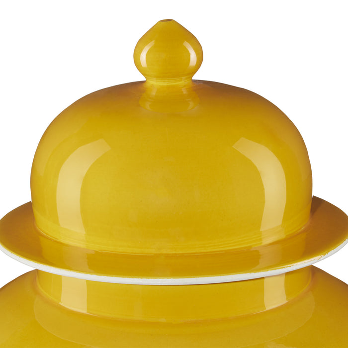Currey and Company 1200-0581 Jar, Yellow