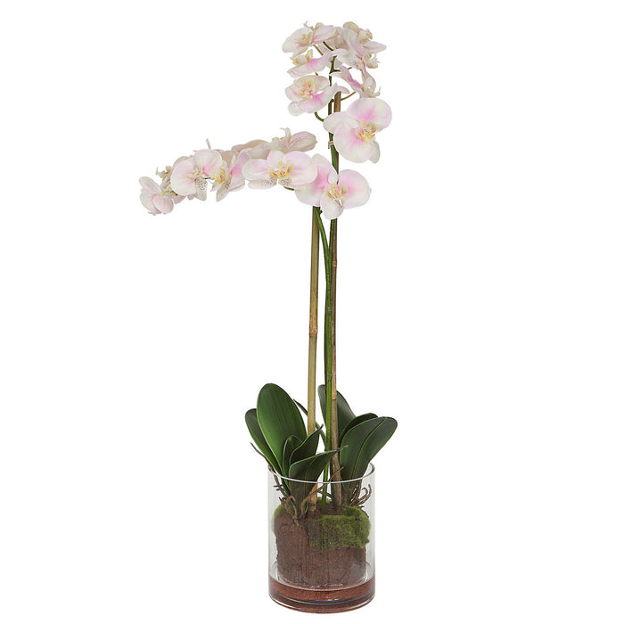 Uttermost 60196 Orchid, Light Pink And White