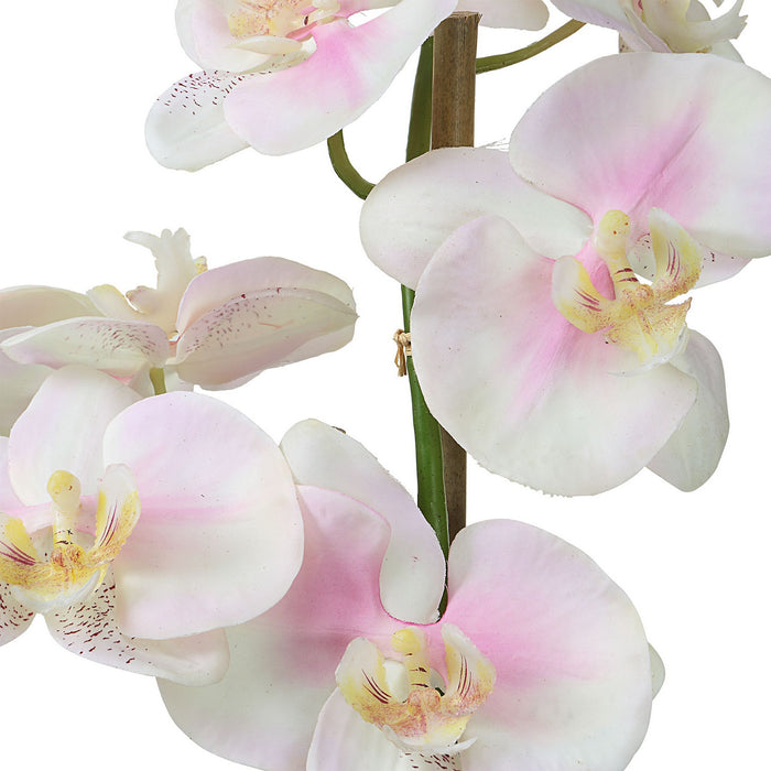 Uttermost 60196 Orchid, Light Pink And White