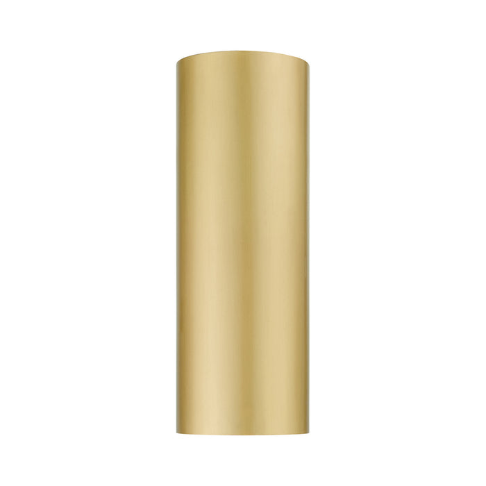 Livex Lighting 22063-32 One Light Outdoor Wall Sconce, Satin Gold