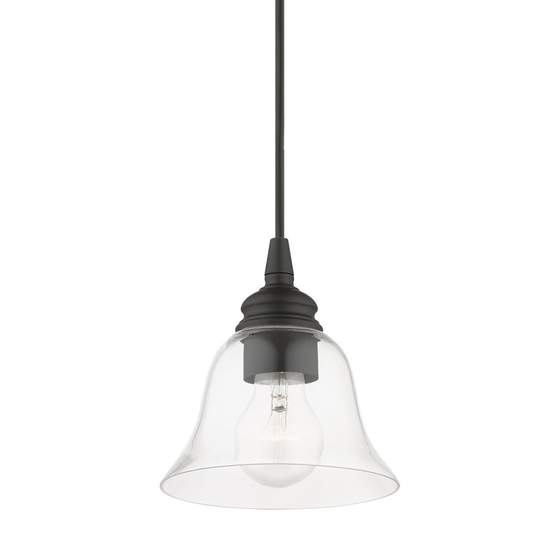 Livex Lighting 46480-04 One Light Pendant, Black