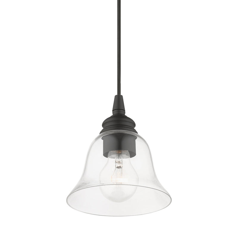 Livex Lighting 46480-04 One Light Pendant, Black
