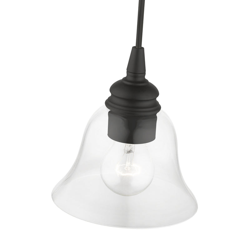 Livex Lighting 46480-04 One Light Pendant, Black