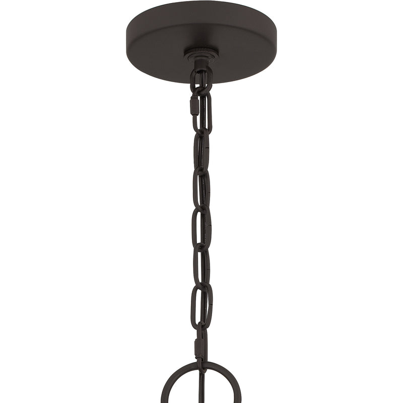 Quoizel DUP2816OZ Four Light Pendant, Old Bronze