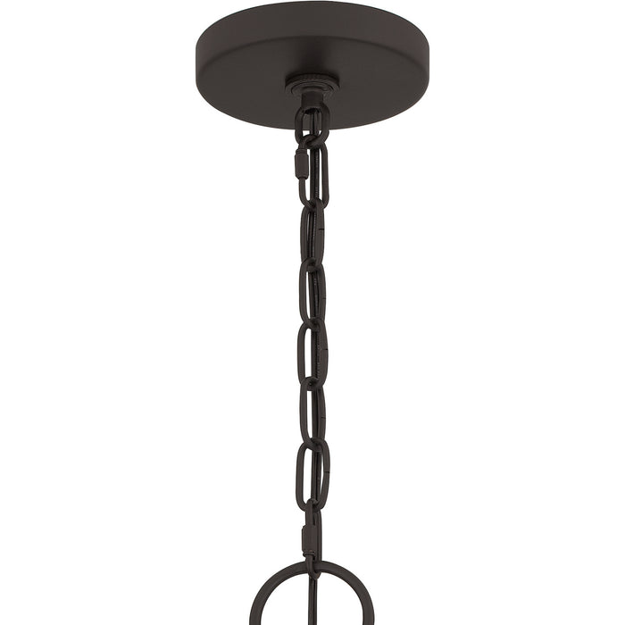 Quoizel DUP2816OZ Four Light Pendant, Old Bronze