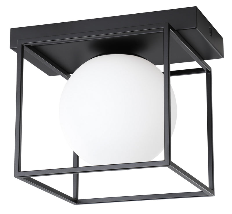 Eglo USA 205618A LED Wall/ Ceiling Light, Matte Black
