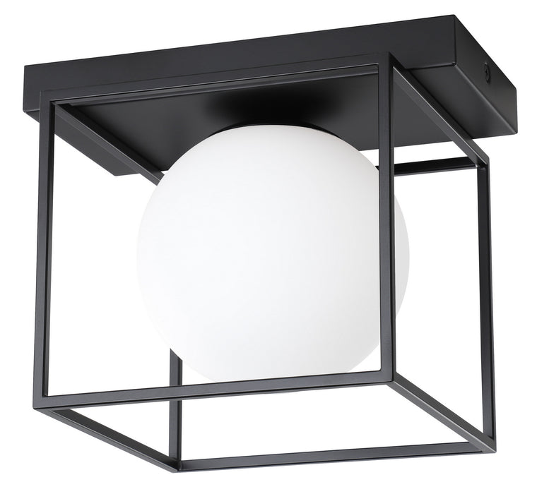 Eglo USA 205618A LED Wall/ Ceiling Light, Matte Black