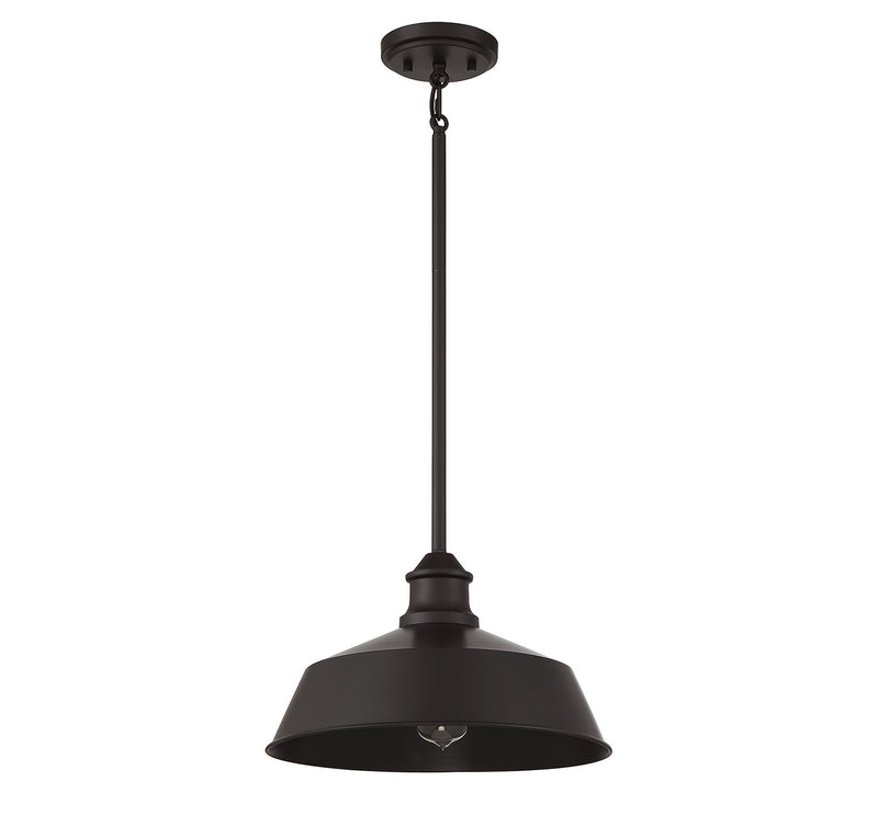 Meridian M7021ORB One Light Pendant, Oil Rubbed Bronze