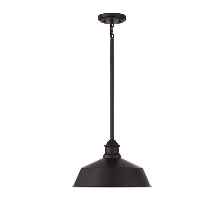 Meridian M7021ORB One Light Pendant, Oil Rubbed Bronze