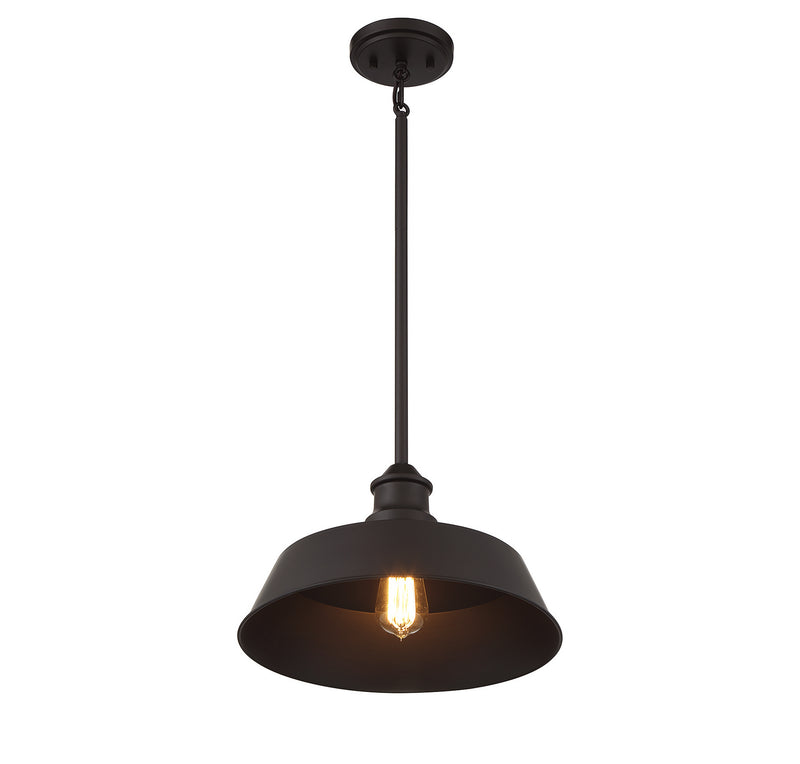 Meridian M7021ORB One Light Pendant, Oil Rubbed Bronze