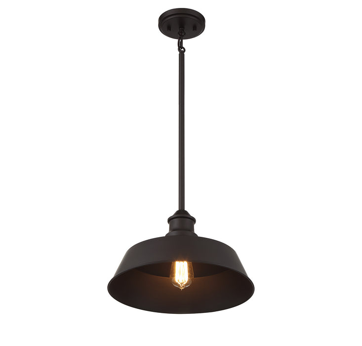 Meridian M7021ORB One Light Pendant, Oil Rubbed Bronze