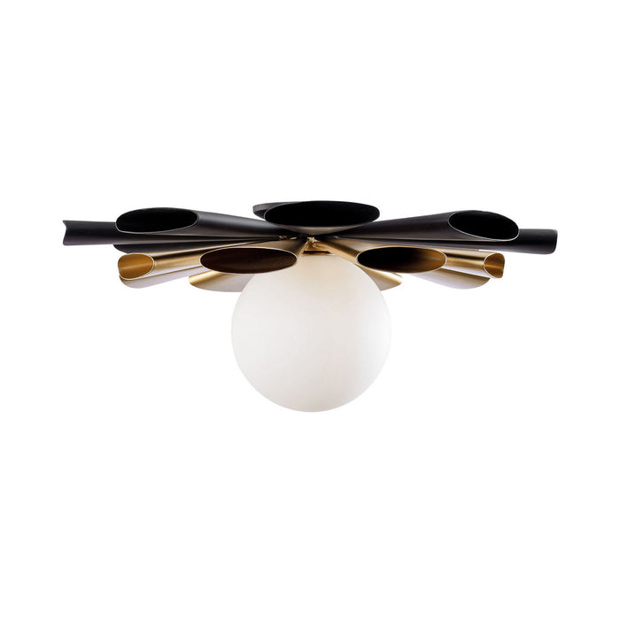 Varaluz 372S01LMBFG One Light Convertible Flush Mount/Wall Sconce, Matte Black/French Gold