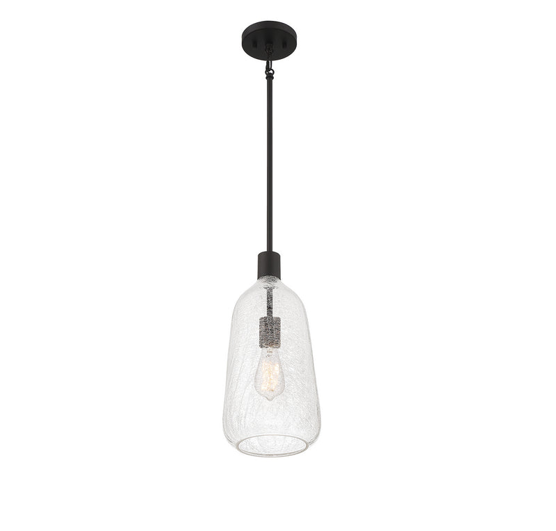 Lighting One E V6-L7-4801-1-89 One Light Pendant, Matte Black