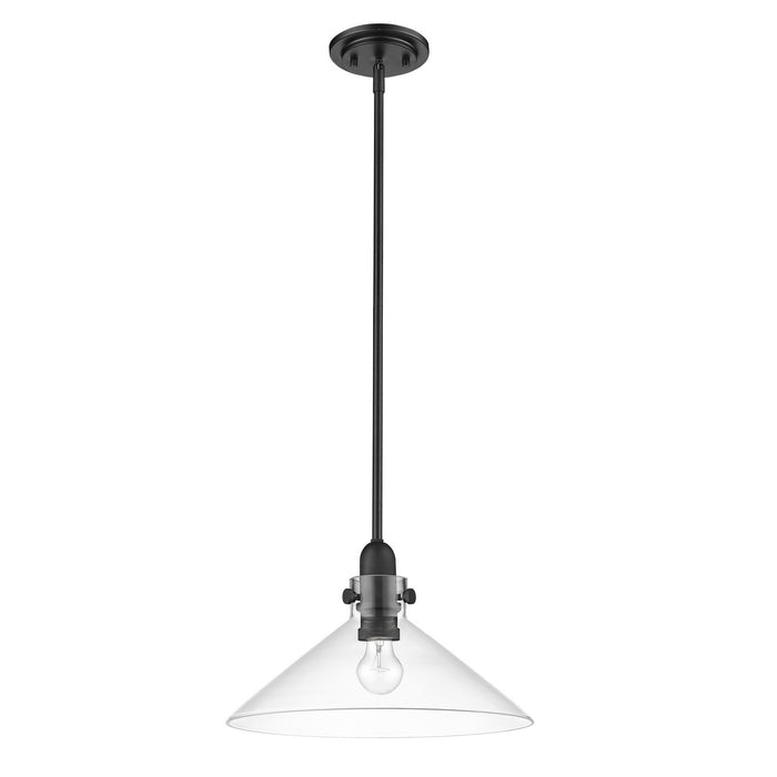 Acclaim Lighting IN20080BK One Light Pendant, Matte Black