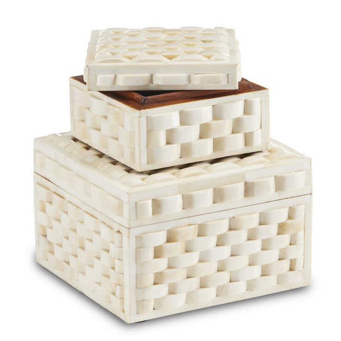 Currey and Company 1200-0647 Box Set of 2, Natural