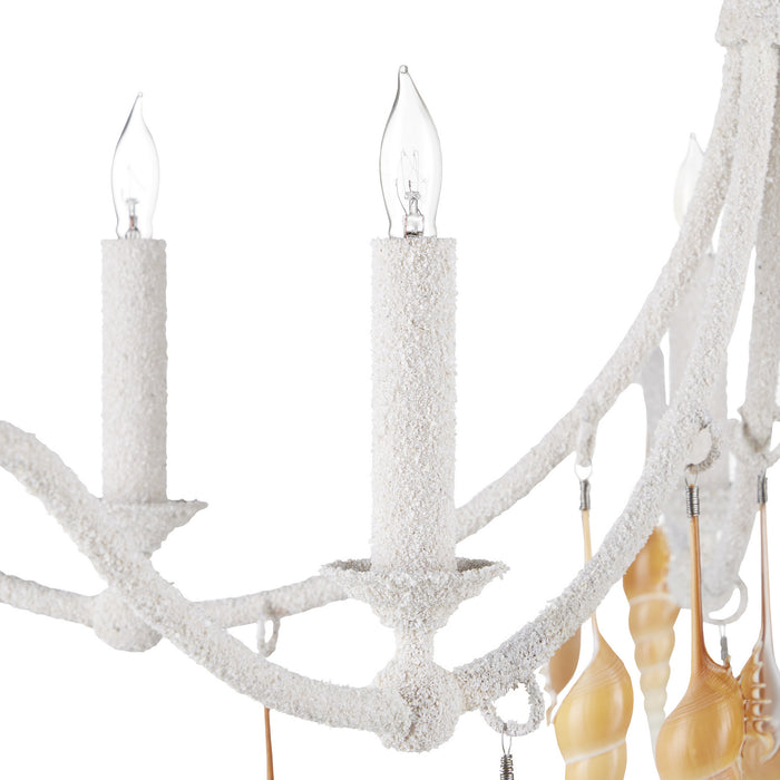 Currey and Company 9000-0988 Five Light Chandelier, Crushed Shell/Natural/Vanilla