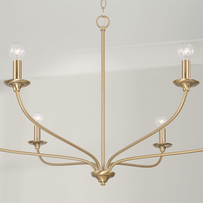 Capital Lighting 449961MA Six Light Chandelier, Matte Brass