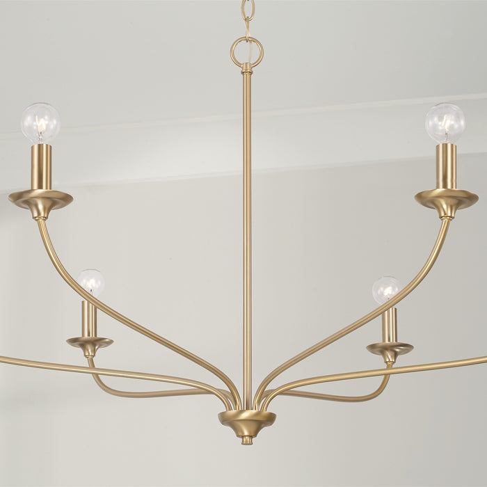 Capital Lighting 449961MA Six Light Chandelier, Matte Brass