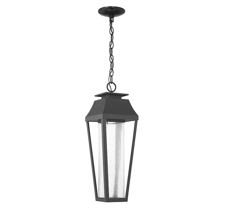 Savoy House 5-357-BK LED Outdoor Hanging Lantern, Matte Black