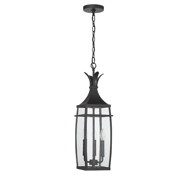 Savoy House 5-763-BK Three Light Outdoor Hanging Lantern, Matte Black